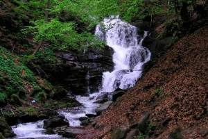 Excursion to waterfall shepot