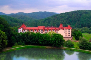 Mineral zone "polyana"